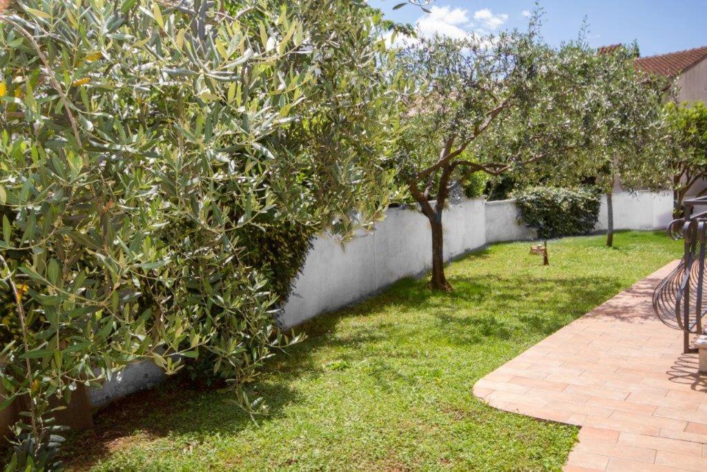 Villa Sveta Eufemija Bed End Breakfast I Rovinj Exterior photo